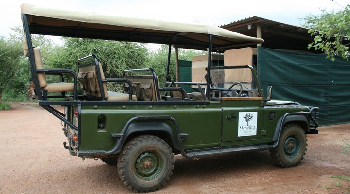 Mosetlha Bush Camp & Eco Lodge