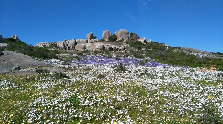 Perfect 10 - Studio One