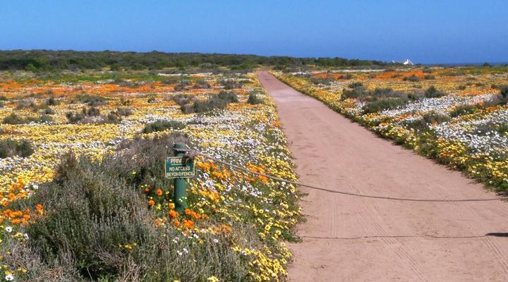 Perfect 10 - Studio One