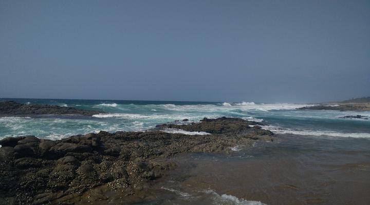 Sea Orchid Holiday Letting