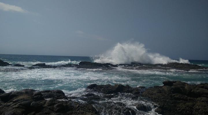 Sea Orchid Holiday Letting