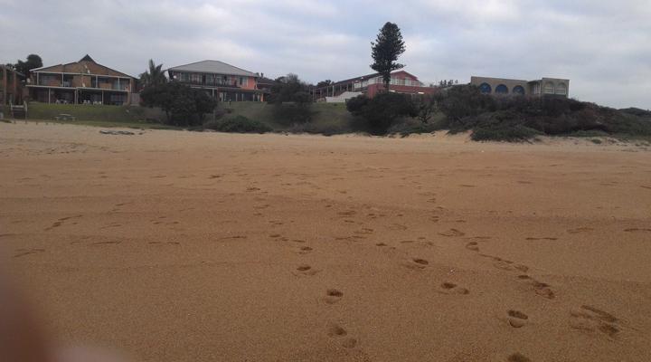 Sea Orchid Holiday Letting