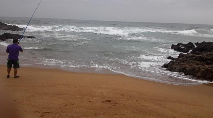 Sea Orchid Holiday Letting