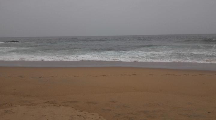 Sea Orchid Holiday Letting