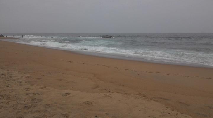 Sea Orchid Holiday Letting