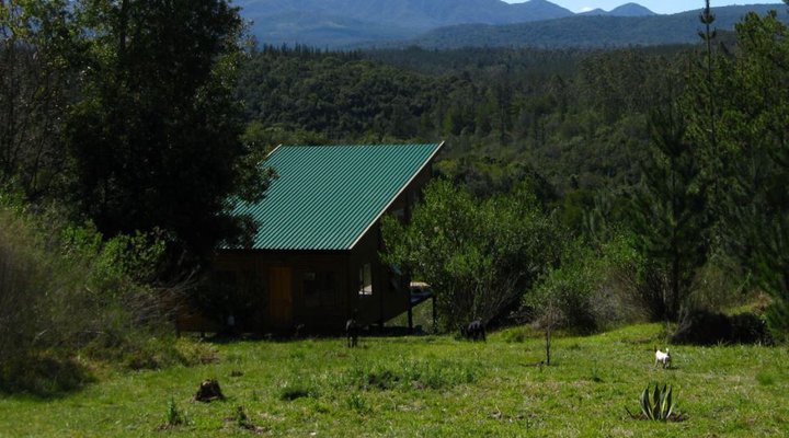 Hidden Valley Forest Cottage