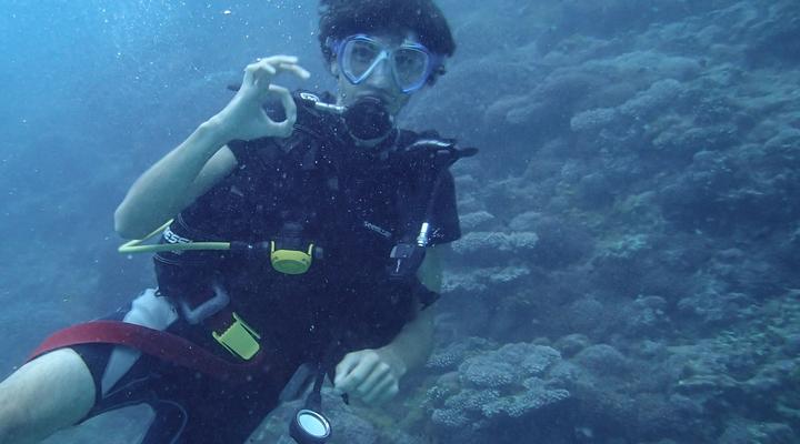 Blue Monkey Beach Cottages