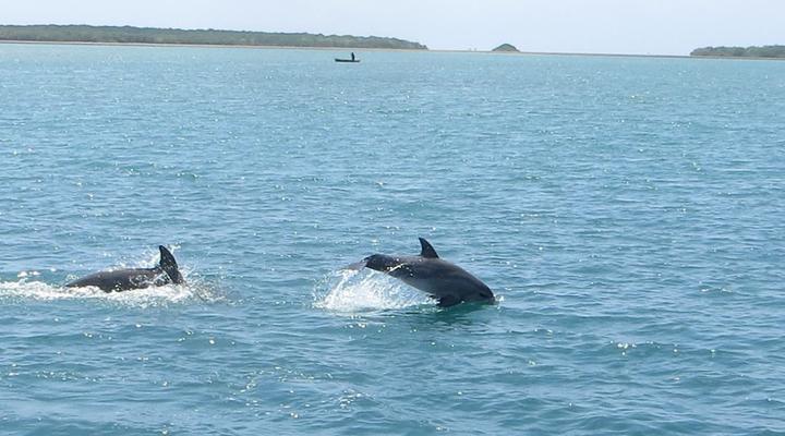 Blue Monkey Beach Cottages