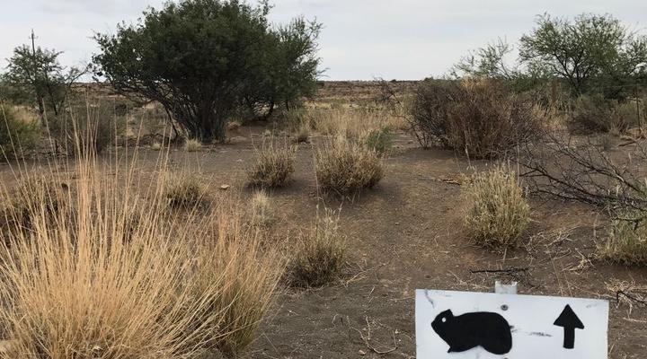 Kalkfontein Gaste Plaas