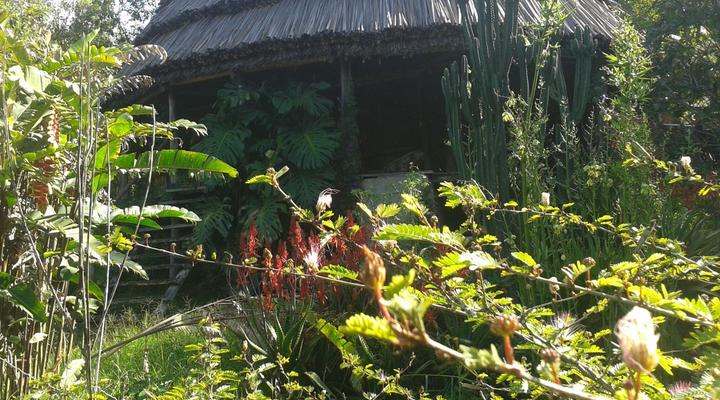 Cuckooland Tented Lodge