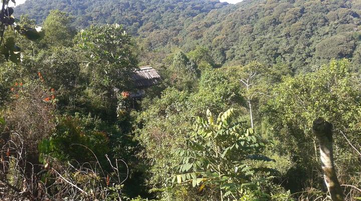 Cuckooland Tented Lodge