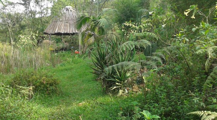 Cuckooland Tented Lodge