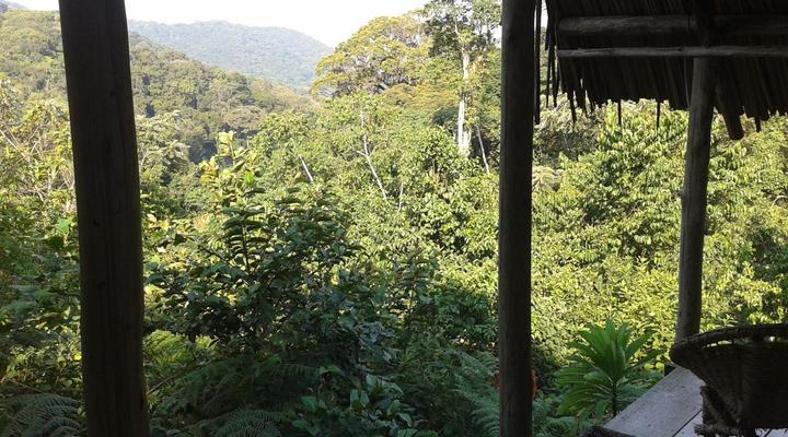 Cuckooland Tented Lodge