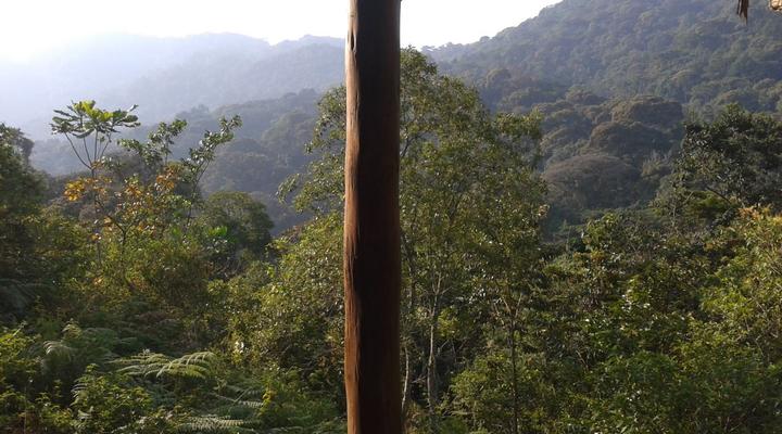 Cuckooland Tented Lodge