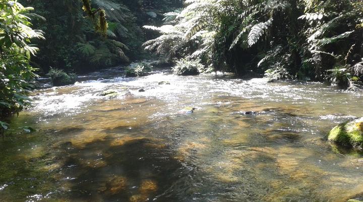 Cuckooland Tented Lodge