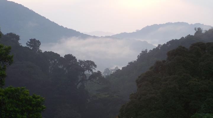 Cuckooland Tented Lodge