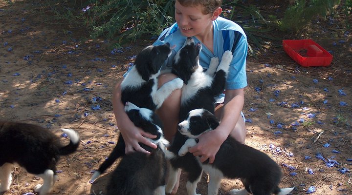 Baviaanskloof Lodge – Country House