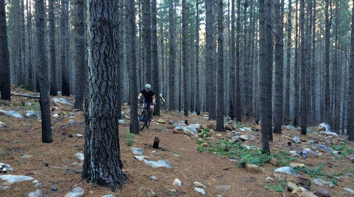 5 Day Winelands Mountain Biking Experience