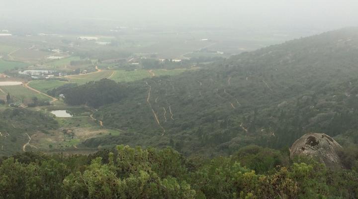 5 Day Winelands Mountain Biking Experience