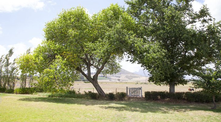 Muldersvlei Estate