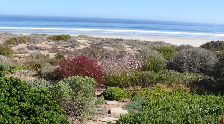 Golden Mile Beach B&B