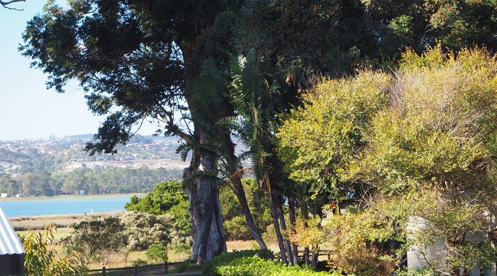 Leisure Island Apartment