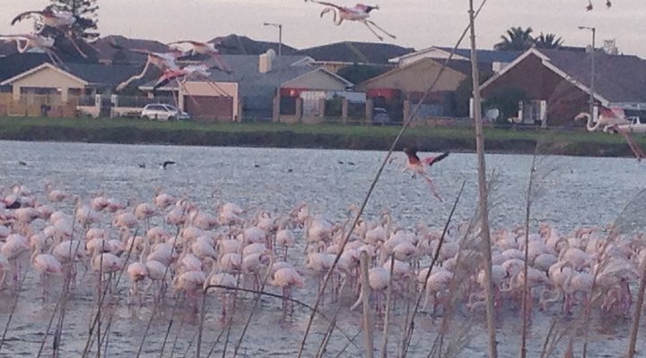 Flamingo Lagoon Self Catering
