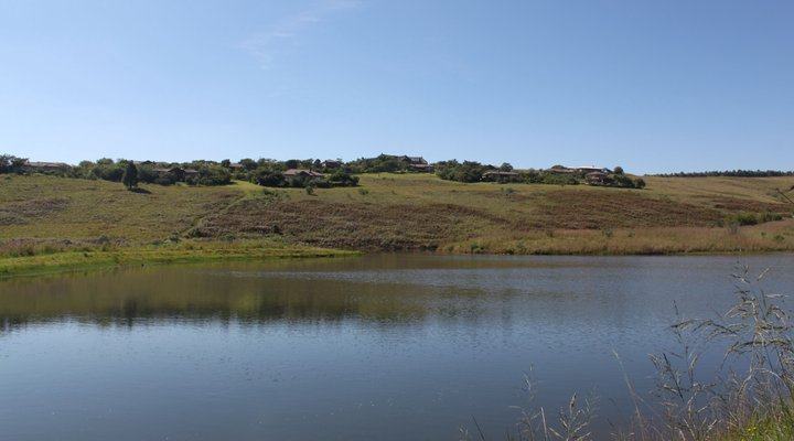 The Berg Hide