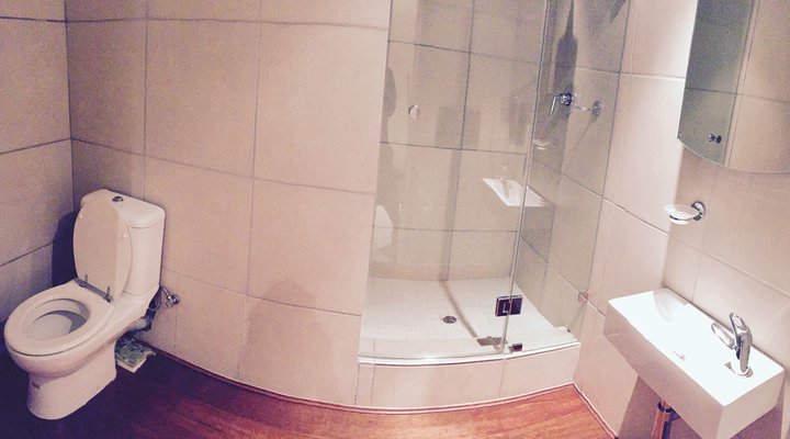 Uber Luxurious Downtown Duplex