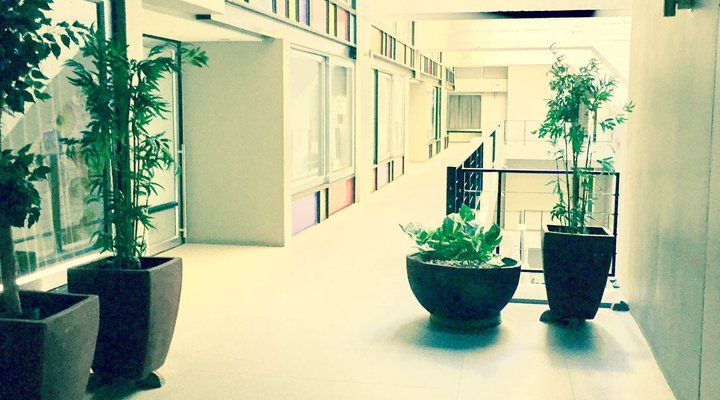 Uber Luxurious Downtown Duplex