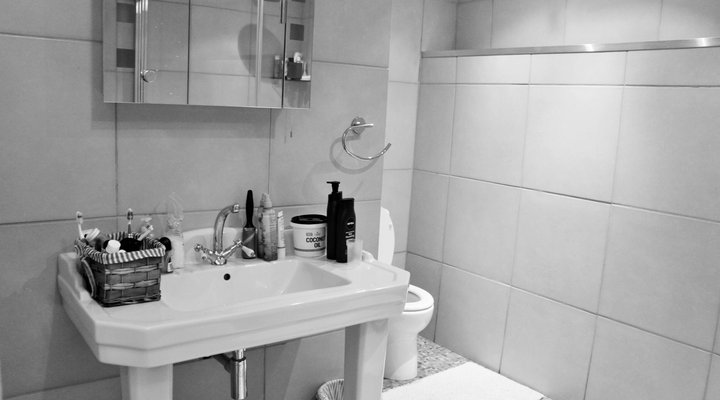 Uber Luxurious Downtown Duplex