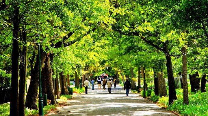 Uber Luxurious Downtown Duplex