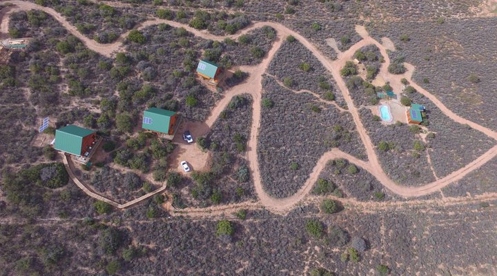 The Travelling Tortoise