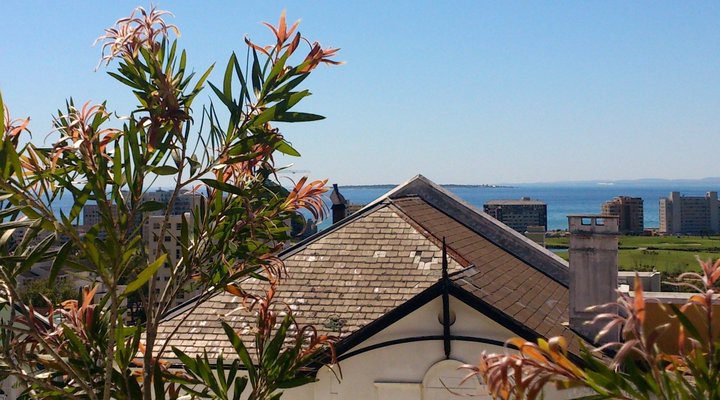 Greenpoint Ocean Views