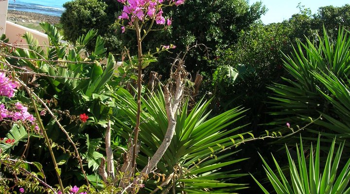 Somerset Way Bnb