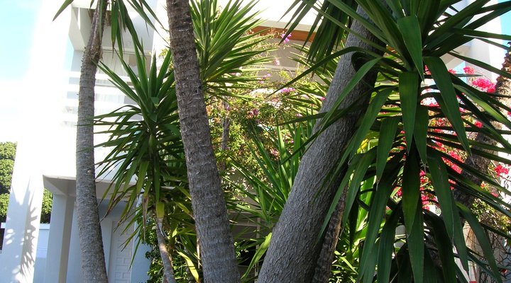 Somerset Way Bnb