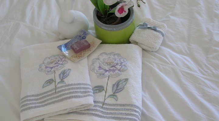 Somerset Way Bnb