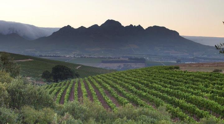 Asara Wine Estate & Hotel