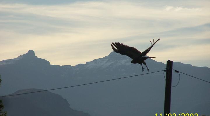 Under the Berg B&B & Backpacker