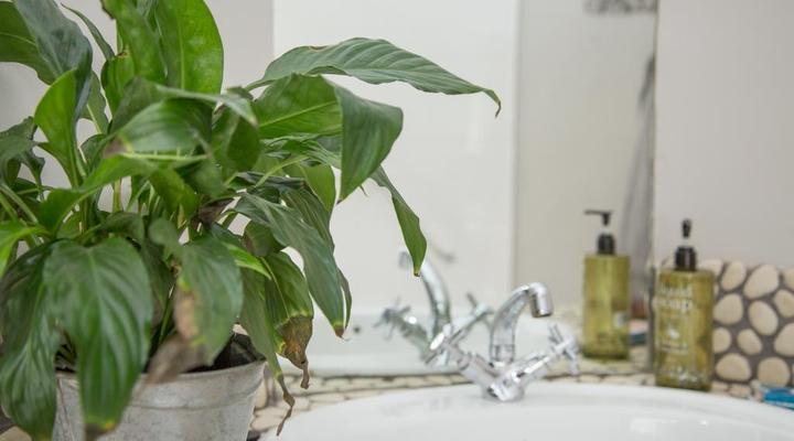 43 on Congo in Emmarentia Johannesburg