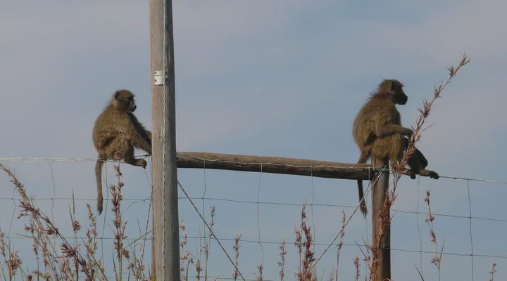 Pumula Central Drakensberg