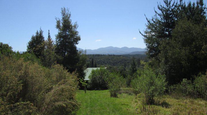 Hidden Valley Forest Cottage