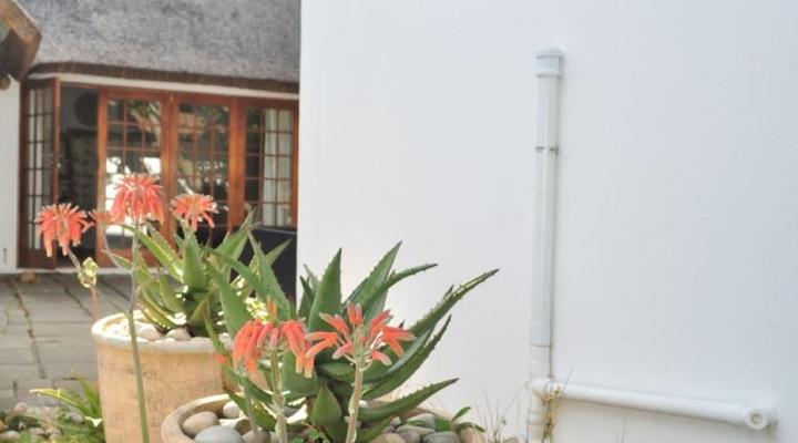 Cottage on College - The Cottage (2 Sleeper) 