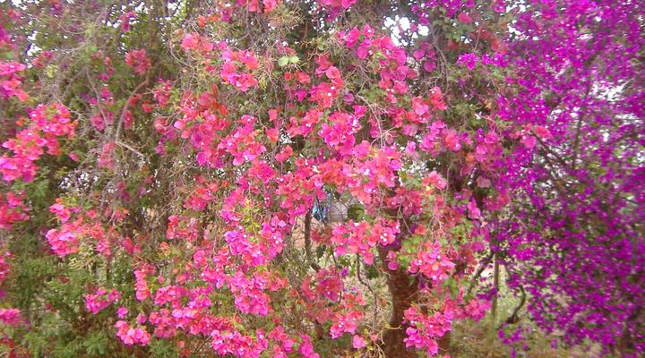 Wurth-It Artists' Home