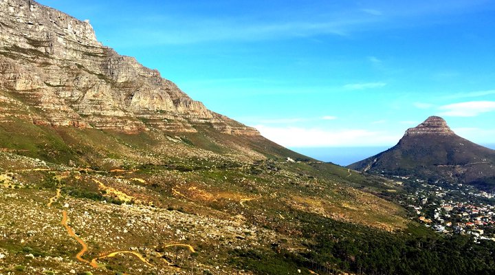 Little Liberty Apartment