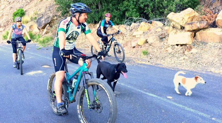 Little Liberty Apartment