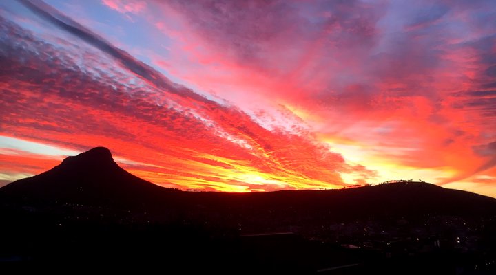 Little Liberty Apartment