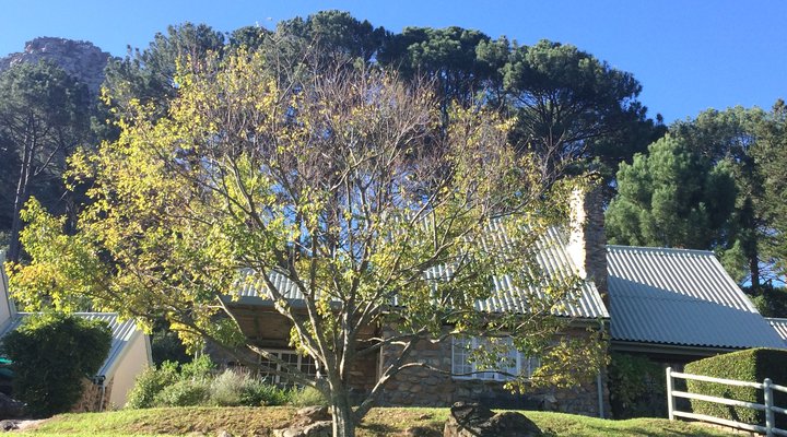 20 Khoka Moya Houtkapperspoort