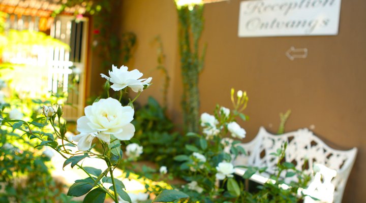 Bloem Guest House