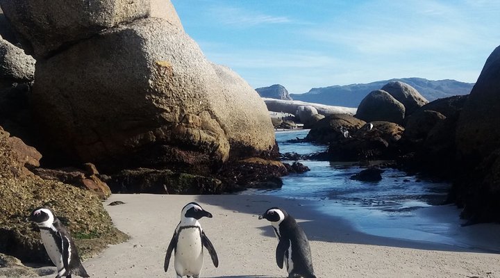 A Seaside Place @ Long Beach 